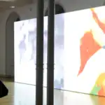 Rita Kappenthuler/Nathan Federer Städtische Ausstellung im Lagerhaus 2023